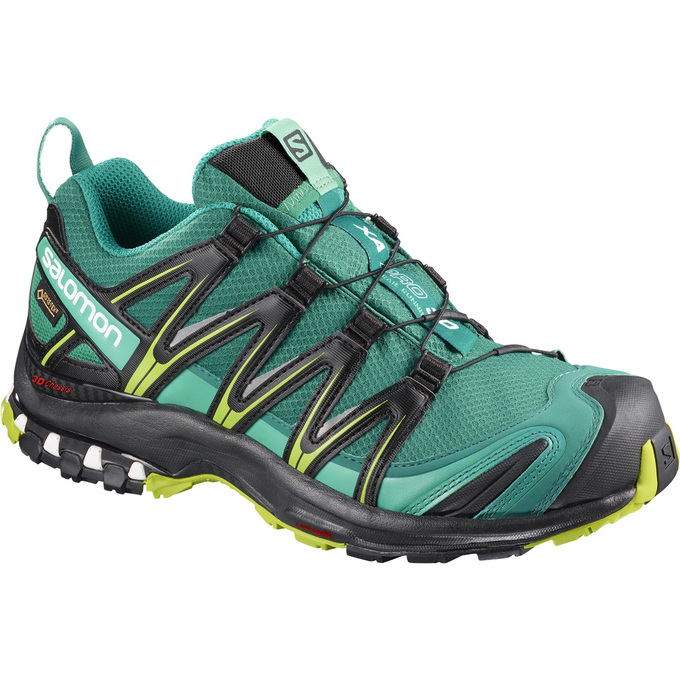 Zapatillas Trail Running Salomon Mujer Verde - Salomon Argentina XA PRO 3D GTX® W ,916875-UQR